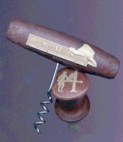 Pioneer diary cover